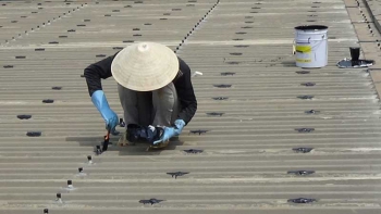 Chống Dột Mái Tôn – Xử Lý Triệt Để, Bền Lâu